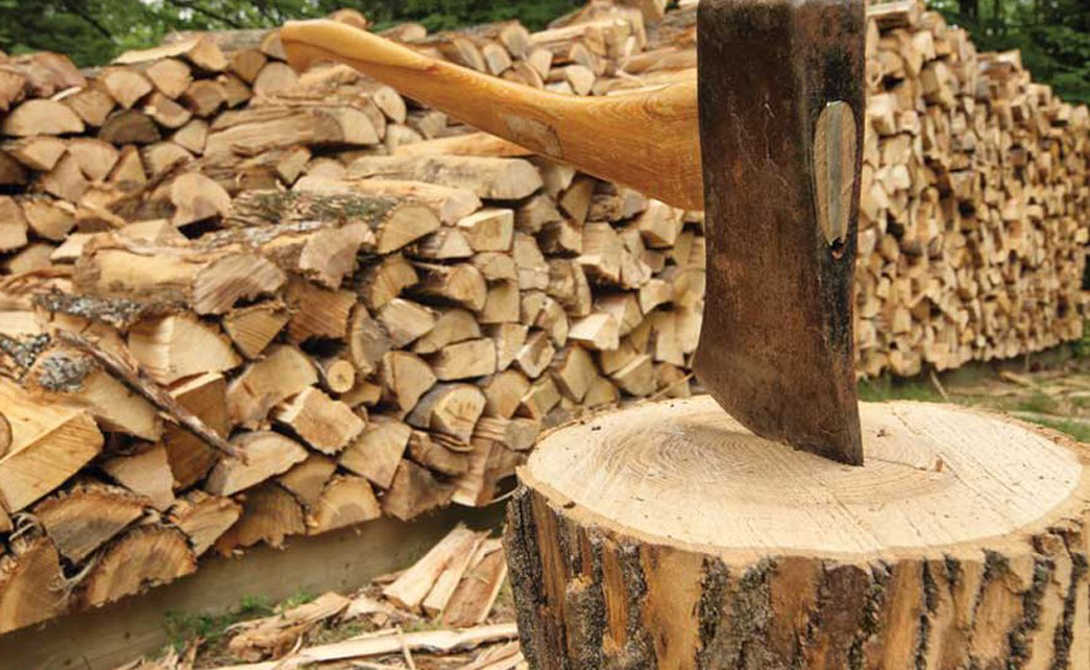 Как выбрать качественные дрова?